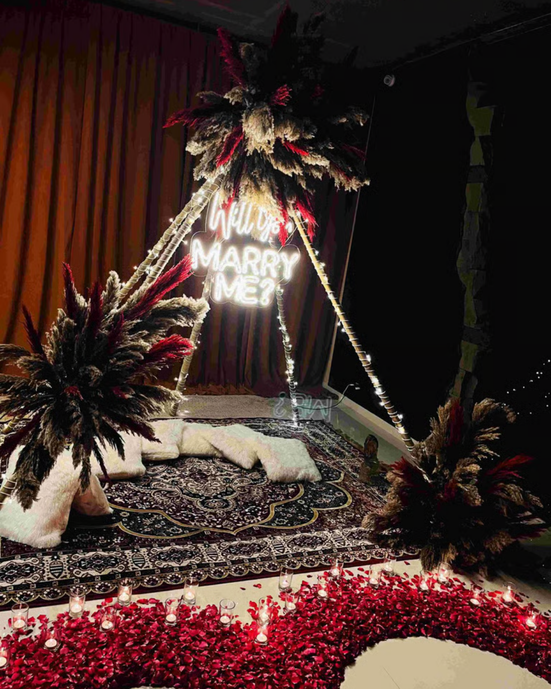 Fairy tale celebration Surat